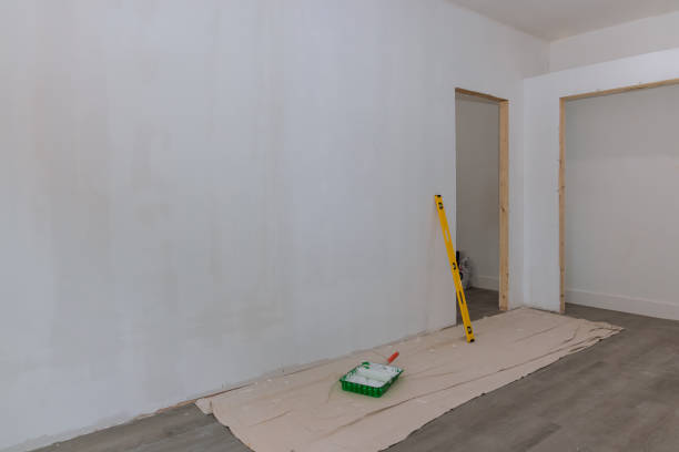 Best Water Damage & Mold Remediation  in Hahira, GA
