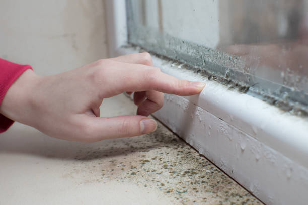 Best Post-Remediation Verification Testing  in Hahira, GA