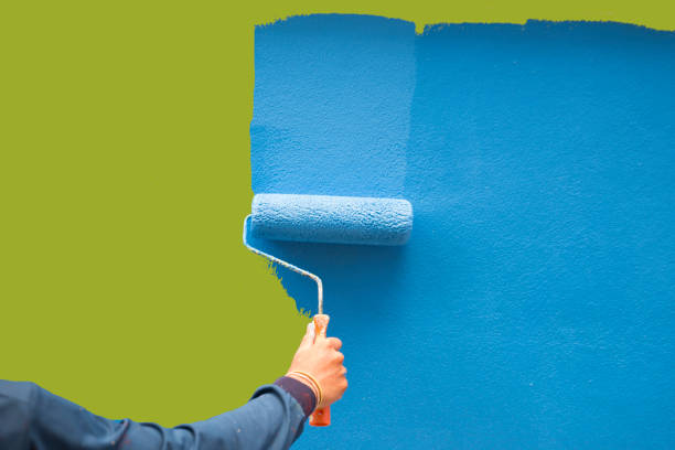 Best Emergency Mold Remediation  in Hahira, GA
